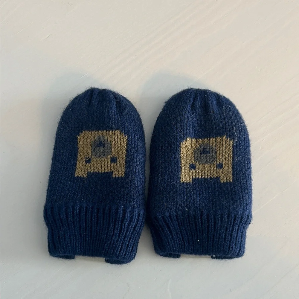 The North Face baby mittens in blue and brown